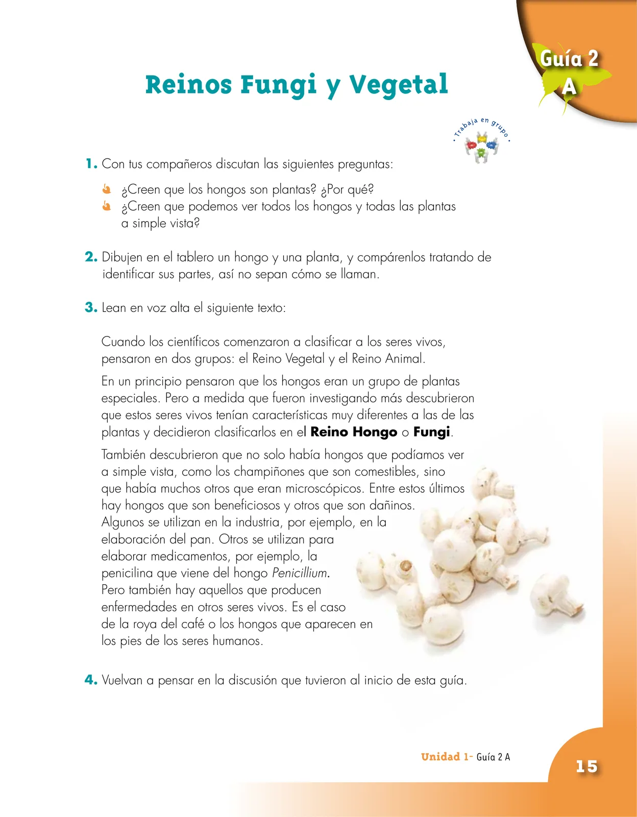 Miniatura página 15 de Ciencias Naturales 4° · Cartilla 01