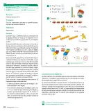 Miniatura página 90 de Sumo Primero – Primero Básico | Texto del Estudiante (MINEDUC) – Descargar PDF · 2024