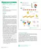 Miniatura página 90 de Sumo Primero – Primero Básico | Texto del Estudiante (MINEDUC) – Descargar PDF · 2024