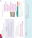 Miniatura página 96 de Lenguaje y Comunicación – Segundo Básico – Texto del Estudiante MINEDUC – Descargar PDF · 2024