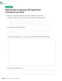Miniatura página 109 de Ciencias Naturales – Séptimo Básico | Texto del Estudiante MINEDUC – Descargar PDF · 2024