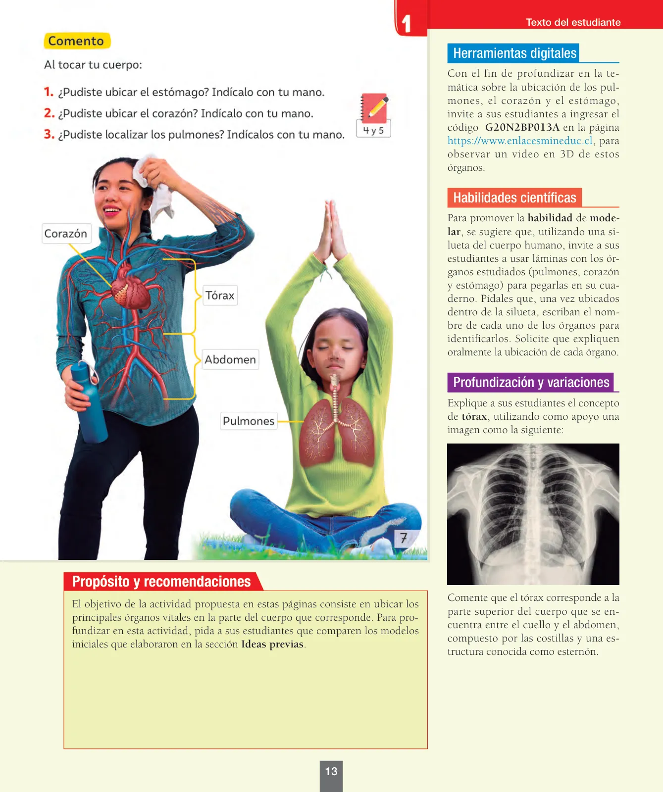 Página 14 de Ciencias Naturales – Segundo Básico | Texto del Estudiante MINEDUC – Descargar PDF · 2024