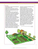 Miniatura página 23 de Matematica 9° · Secundaria Activa