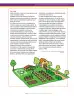 Miniatura página 23 de Matematica 9° · Secundaria Activa