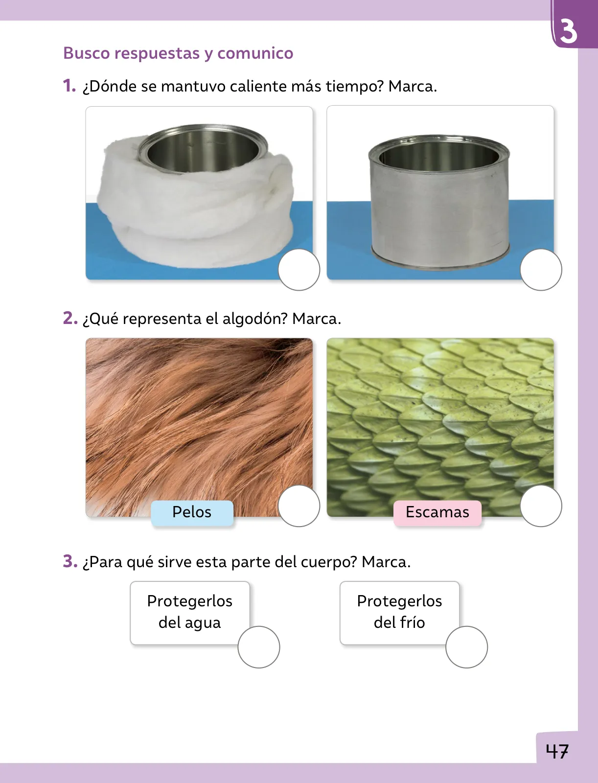 Miniatura página 48 de Ciencias Naturales – Primero Básico | Texto del Estudiante (MINEDUC) – Descargar PDF · 2024