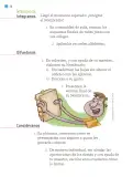 Miniatura página 27 de Proyectos de Aula.   Libro de Educación Primaria Grado 1°  Ciclo Escolar 2025 - 2026