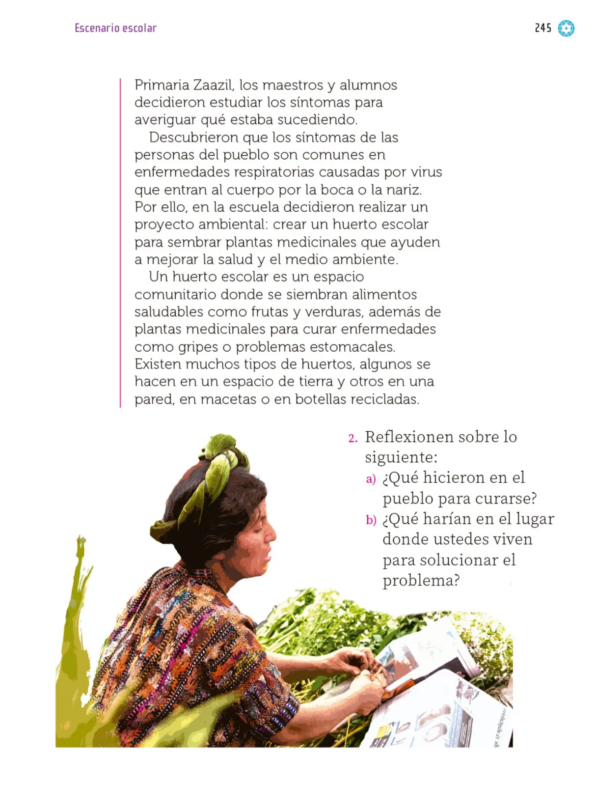 Miniatura página 246 de Proyectos Escolares.   Libro de Educación Primaria Grado 1°  Ciclo Escolar 2025 - 2026
