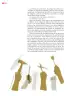 Miniatura página 21 de Colección Nanahuatzin. Múltiples lenguajes.   Libro de Educación Secundaria Grado 3°  Ciclo Escolar 2025 - 2026