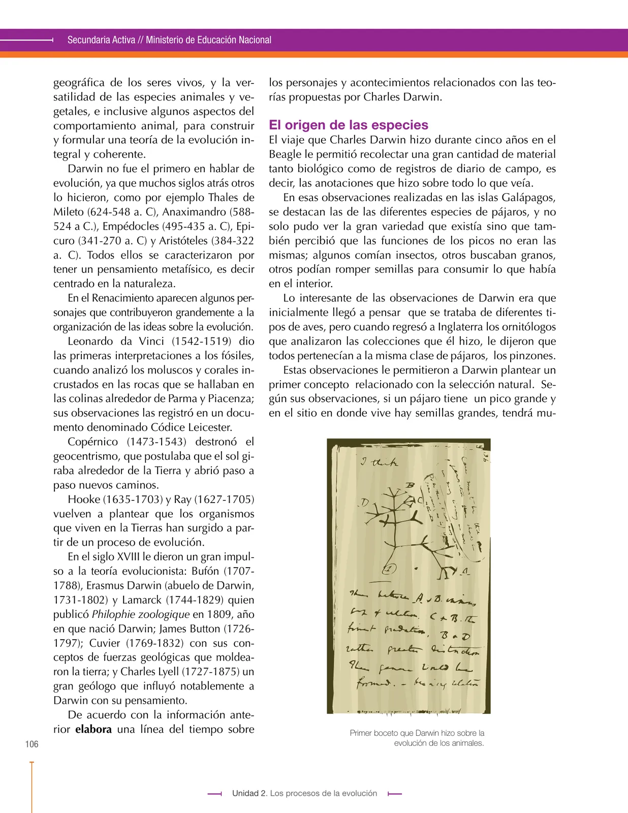 Pág 106