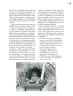 Miniatura página 158 de Crianza para la libertad. Libro para las familias. Fase 2  Libro de Educación Preescolar Grado 1°, 2°, 3°  Ciclo Escolar 2025 - 2026