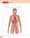 Miniatura página 18 de Libro de Ciencias Naturales – Quinto Básico | Texto del Estudiante MINEDUC – Descargar PDF · 2024