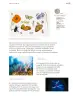Miniatura página 100 de Nuestros saberes: Libro para alumnos, maestros y familia.   Libro de Educación Primaria Grado 3°  Ciclo Escolar 2025 - 2026
