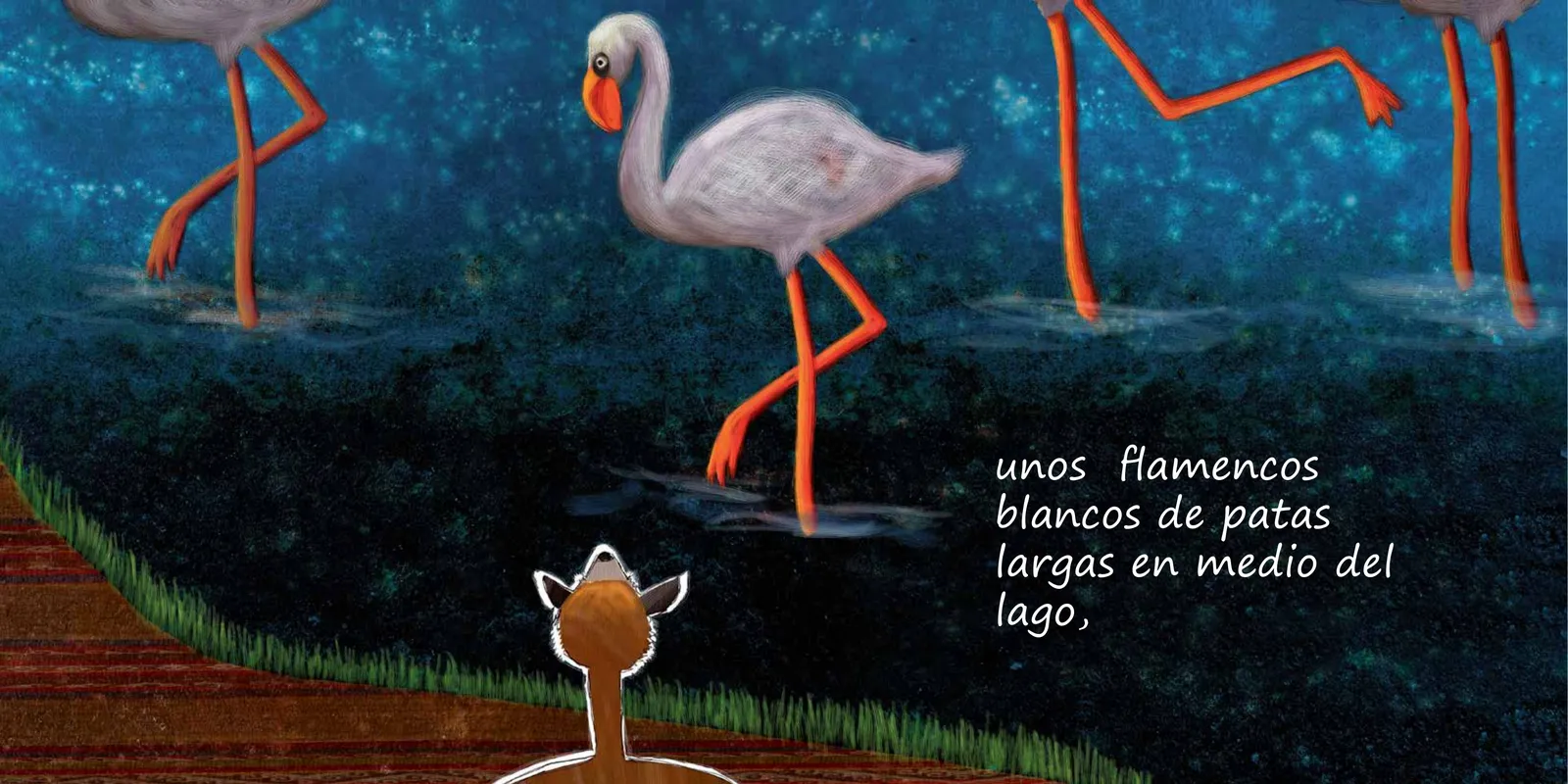 Página 8 de Vicuñita, princesita del altiplano. Cuento No. 19 · 2011