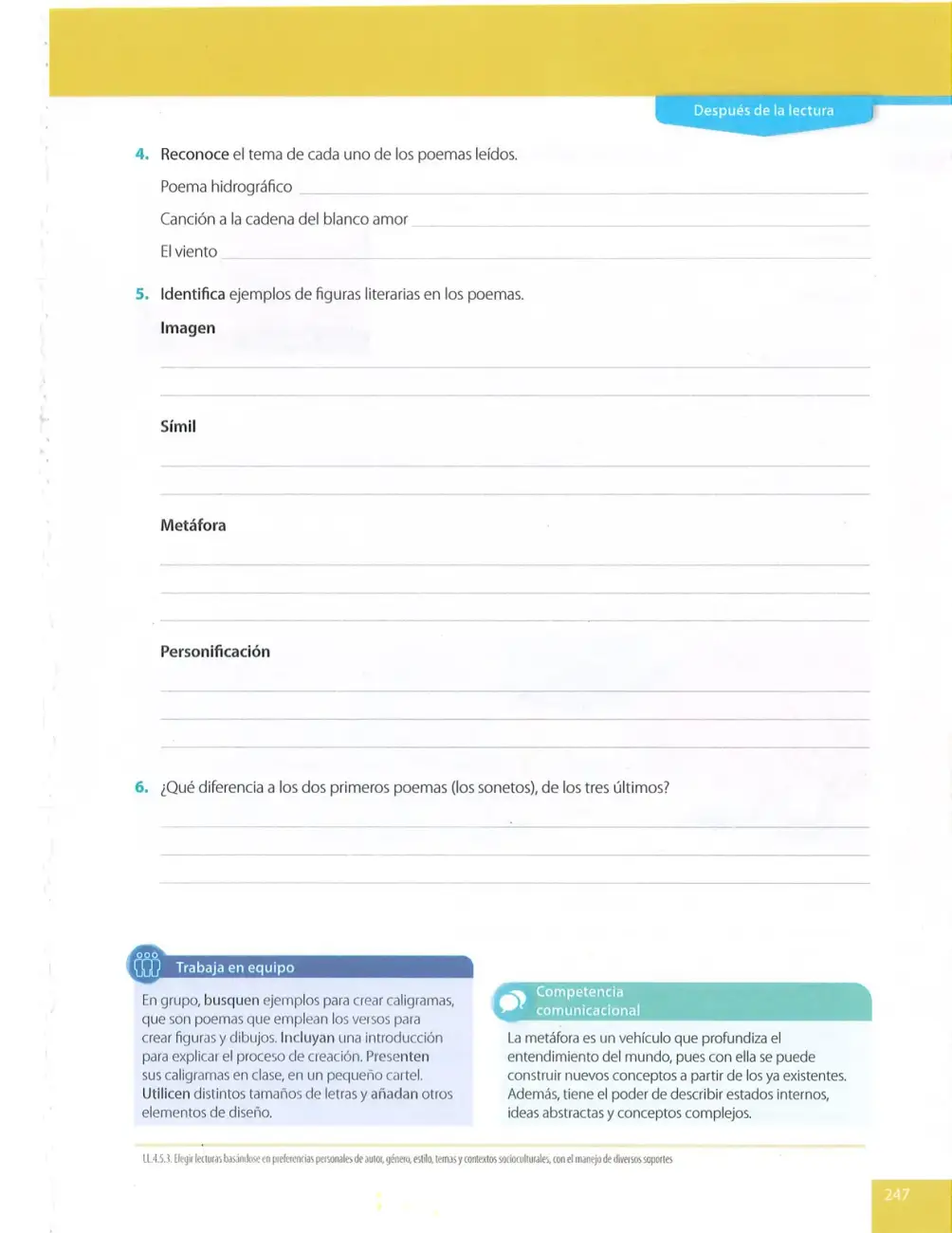 Página 247