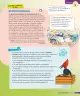 Miniatura página 160 de Ciencias Naturales – Tercero Básico | Texto del Estudiante MINEDUC – Descargar PDF · 2024
