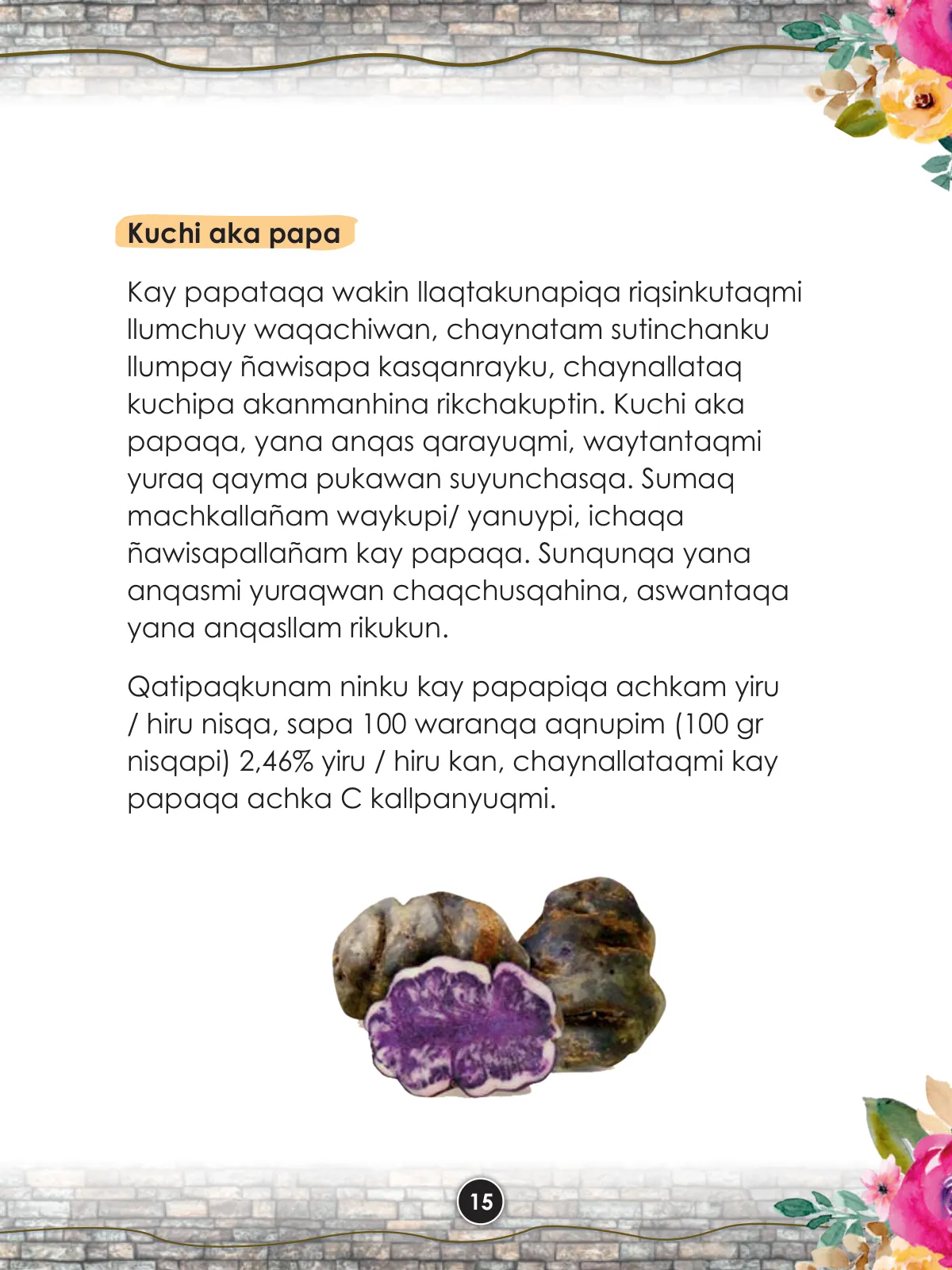 Pág 17