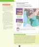 Miniatura página 111 de Ciencias Naturales – Séptimo Básico | Texto del Estudiante MINEDUC – Descargar PDF · 2024