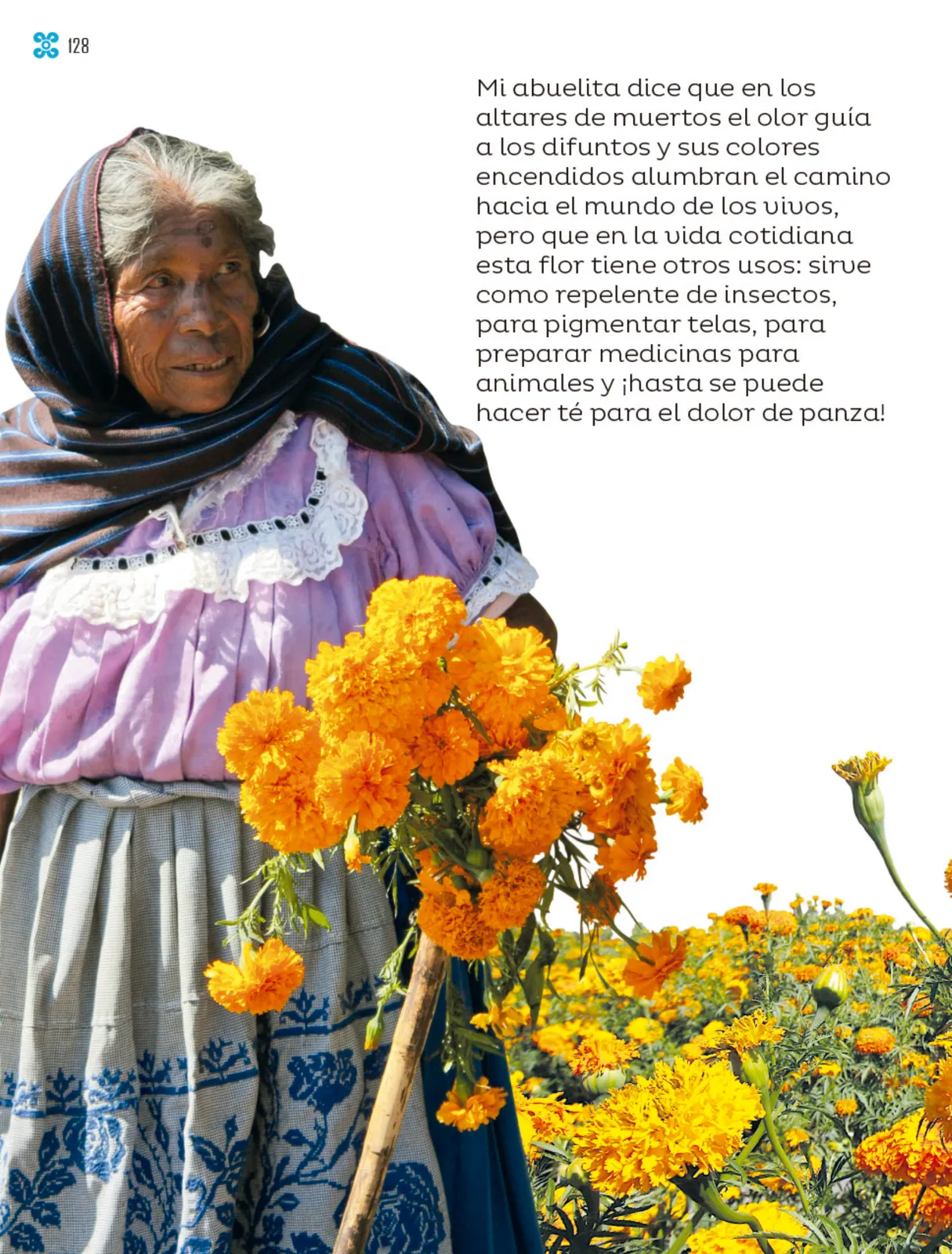 Página 129 de Múltiples lenguajes. Libro de Educación Primaria Grado 1° Ciclo Escolar 2025 - 2026