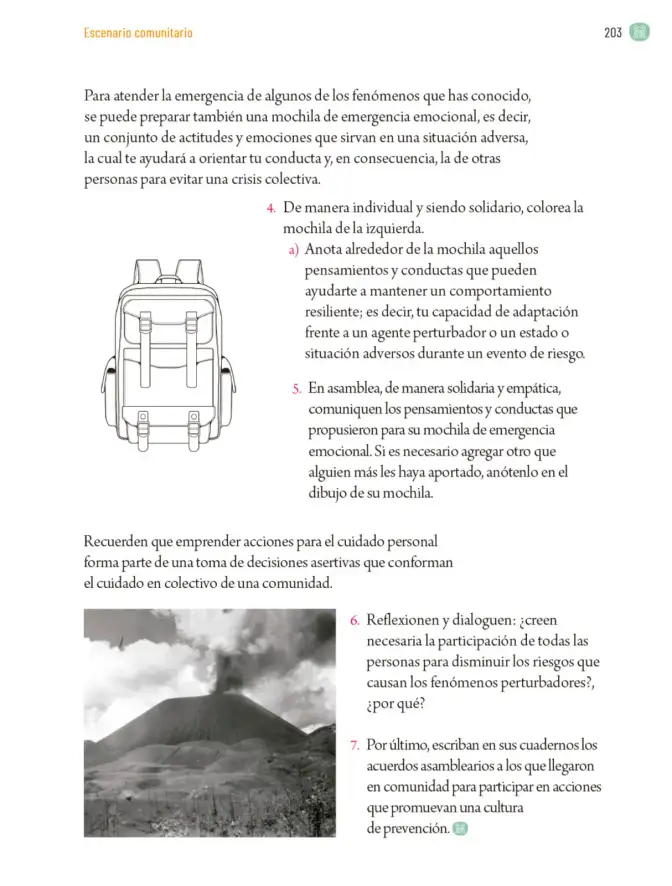 Página 206 de Proyectos Comunitarios. Libro de Educación Primaria Grado 5° Ciclo Escolar 2025 - 2026