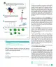 Miniatura página 101 de Sumo Primero – Cuarto Básico | Texto del Estudiante MINEDUC – Descargar PDF · 2024