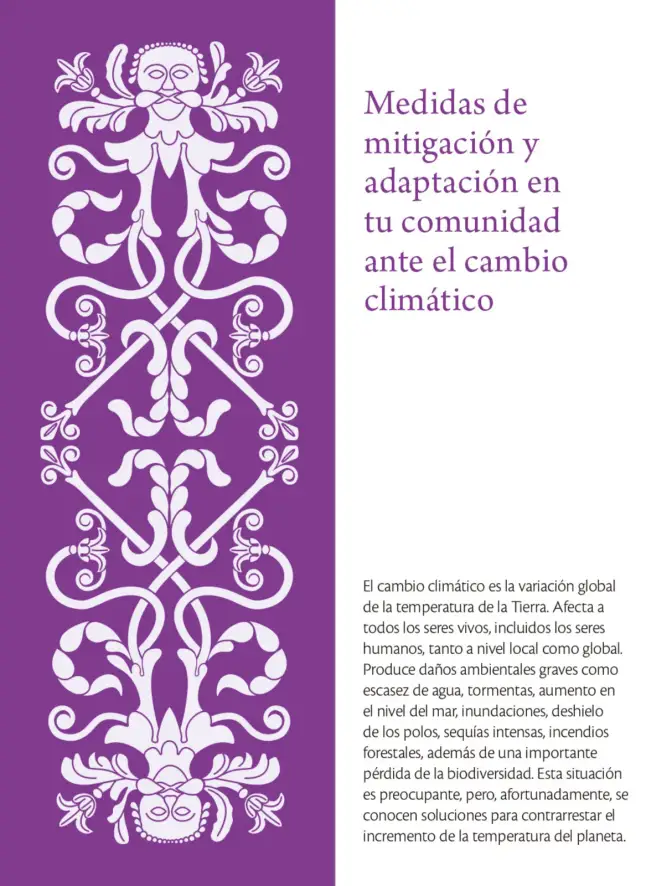 Página 258 de Colección Sk´asolil. Saberes y pensamiento científico. Libro de Educación Secundaria Grado 2° Ciclo Escolar 2025 - 2026