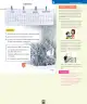 Miniatura página 84 de Ciencias Naturales – Segundo Básico | Texto del Estudiante MINEDUC – Descargar PDF · 2024
