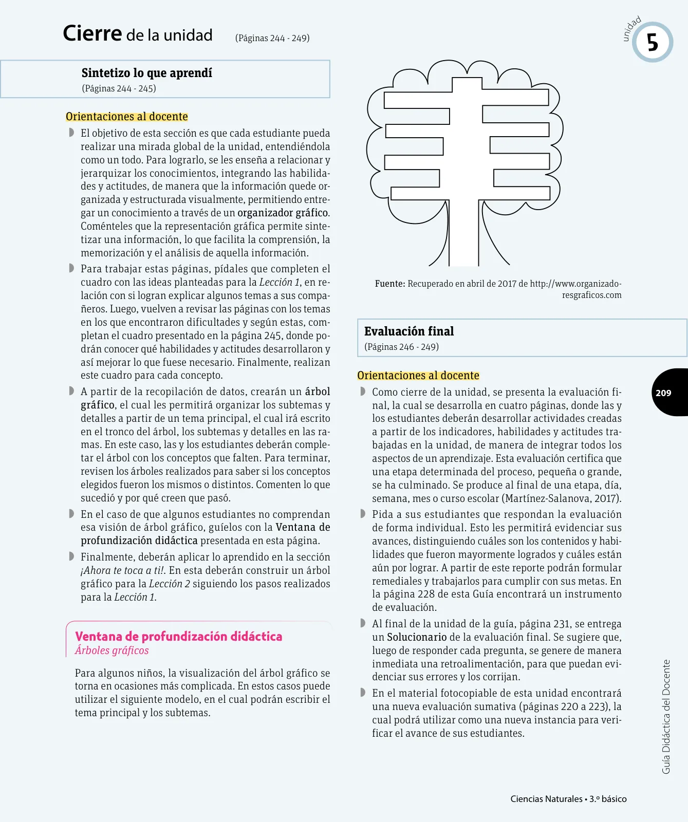Página 202 de Ciencias Naturales – Tercero Básico | Texto del Estudiante MINEDUC – Descargar PDF · 2024