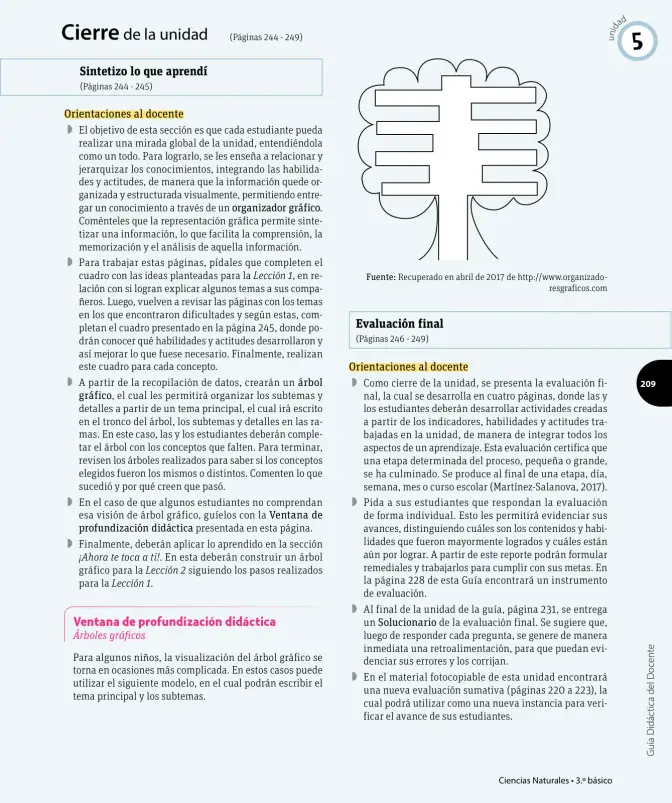 Página 202 de Ciencias Naturales – Tercero Básico | Texto del Estudiante MINEDUC – Descargar PDF · 2024