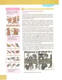 Miniatura página 14 de Lengua Y Literatura 10° · Egb 10 Lengua Y Literatura 2025 · 2025