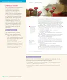 Miniatura página 140 de Lengua y Literatura – Octavo Básico | Texto del Estudiante MINEDUC – Descargar PDF · 2024