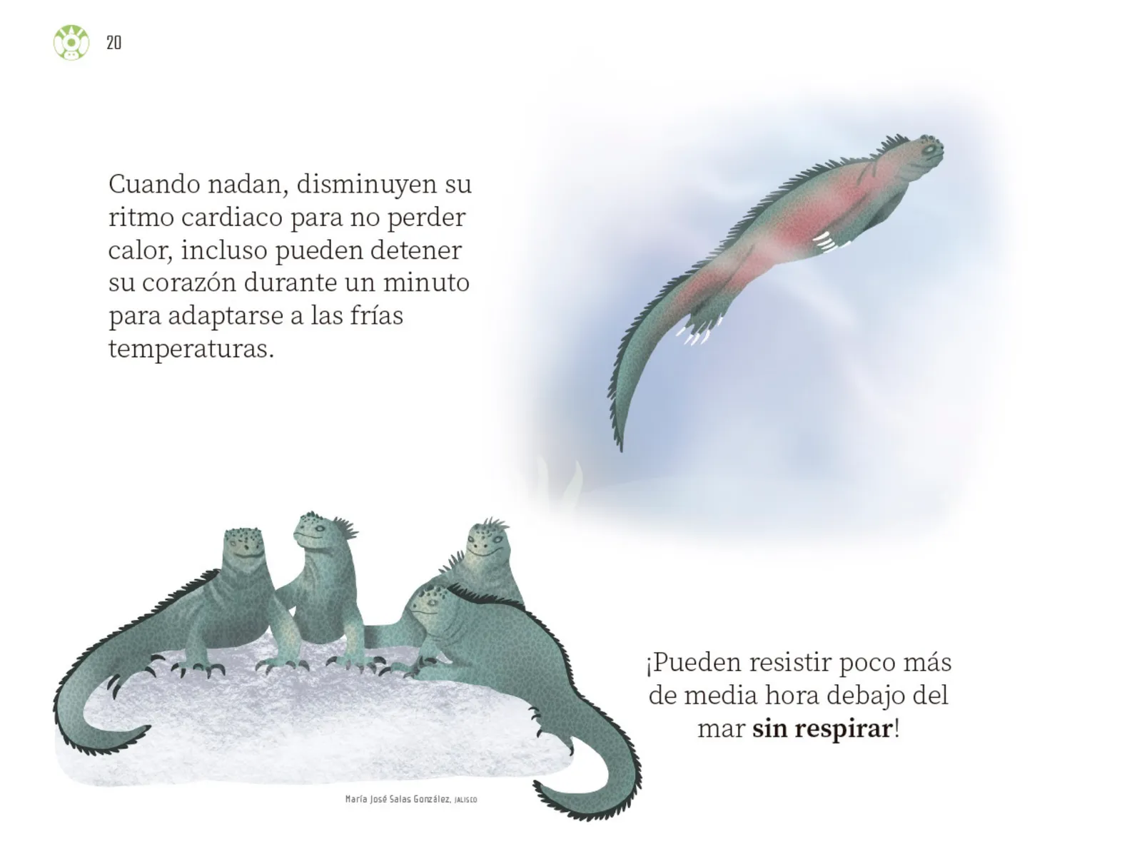 Miniatura página 21 de Múltiples lenguajes.   Libro de Educación Preescolar Grado 3°  Ciclo Escolar 2025 - 2026