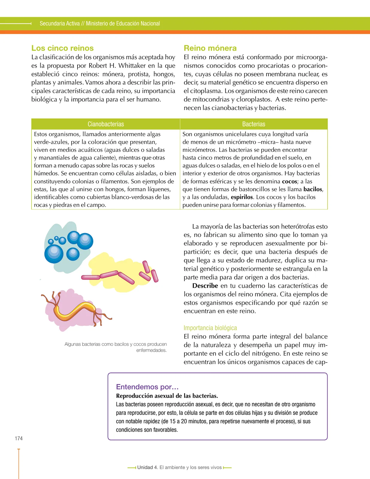 Miniatura página 178 de Ciencias Naturales 6° · Secundaria Activa