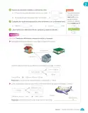 Miniatura página 217 de Matemática – Quinto Básico | Texto del Estudiante MINEDUC – Descargar PDF · 2024