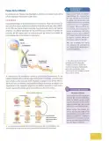 Miniatura página 56 de Ciencias Naturales 9° · 2025