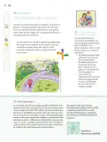 Miniatura página 197 de Nuestros saberes: Libro para alumnos, maestros y familia.   Libro de Educación Primaria Grado 5°  Ciclo Escolar 2025 - 2026