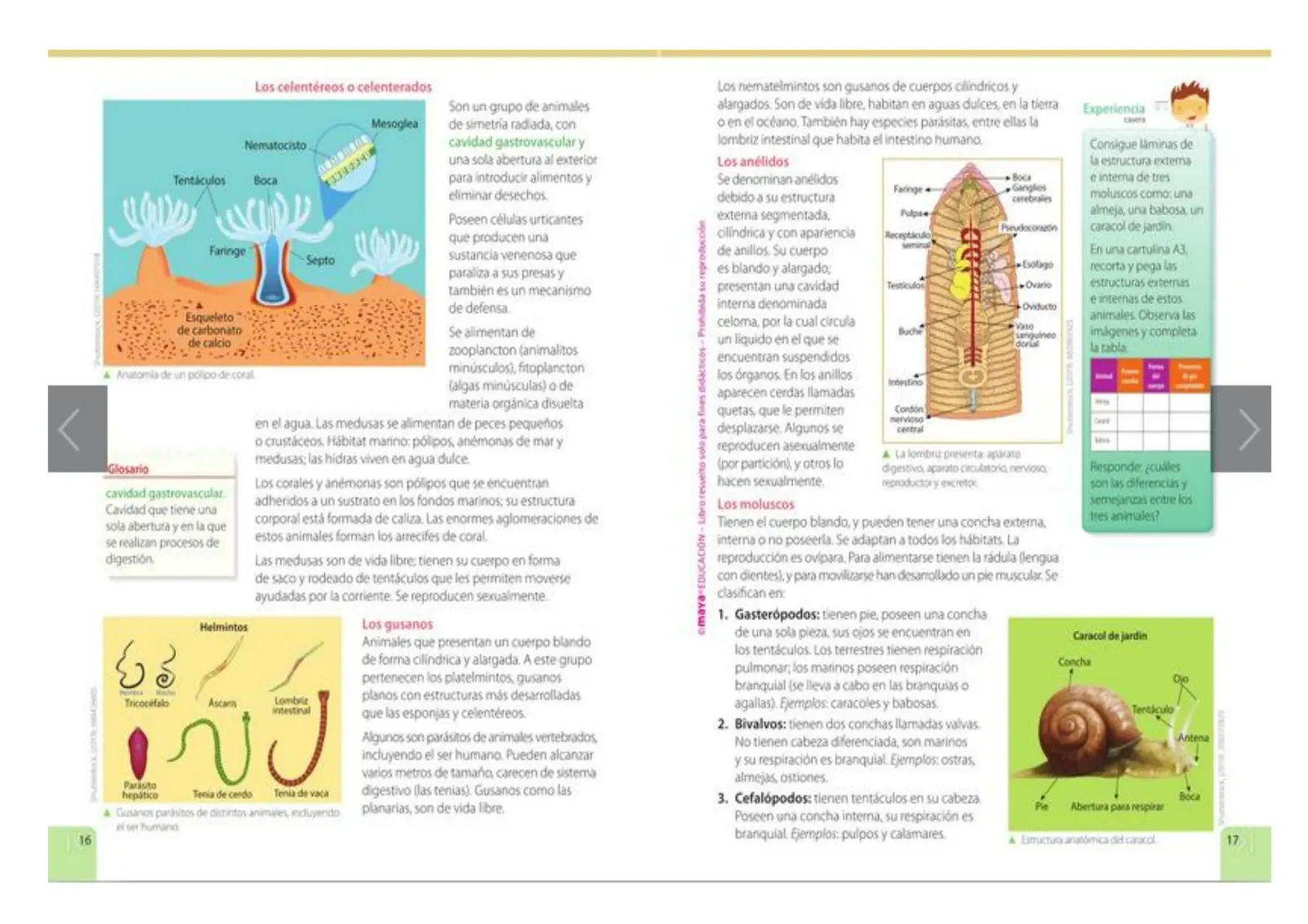 Página 8 de Ciencias Naturales 5° · Egb 5 Ciencias Naturales 2024 · 2024