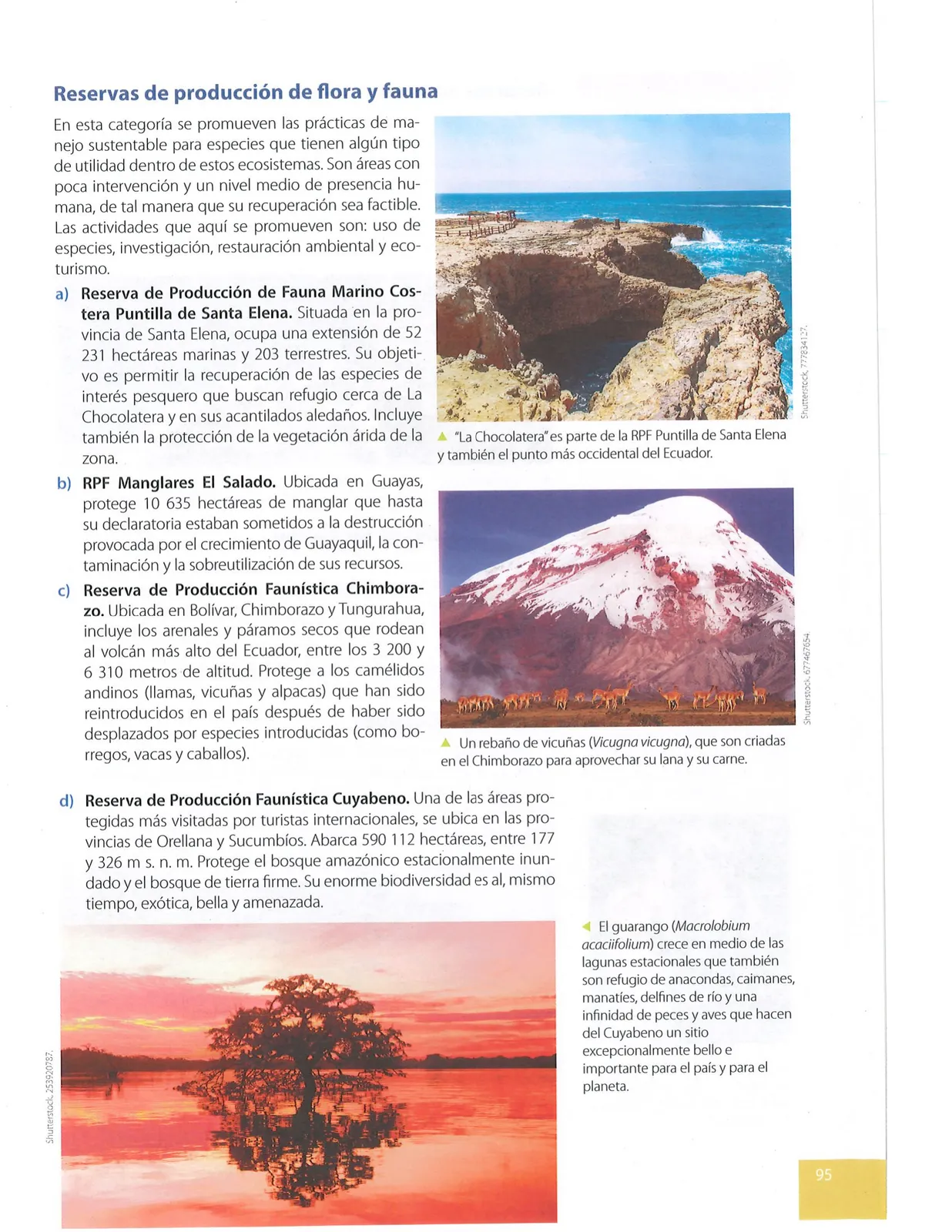Miniatura página 96 de Ciencias Naturales · 9 EGB · 2024
