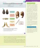 Miniatura página 28 de Historia, Geografía y Ciencias Sociales – Séptimo Básico | Texto del Estudiante MINEDUC – Descargar PDF · 2024