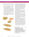 Miniatura página 236 de Ciencias Naturales 8° · Secundaria Activa