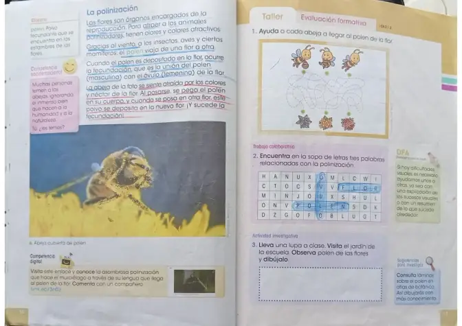 Página 7 de Ciencias Naturales 3° · Egb 3 Ciencias Naturales 2024 · 2024