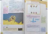 Miniatura página 7 de Ciencias Naturales 3° · Egb 3 Ciencias Naturales 2024 · 2024