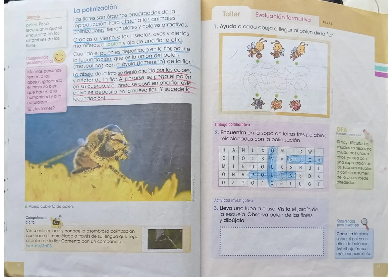 Pág 7