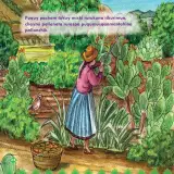 Miniatura página 26 de Llaqtaypa Kawsayninkuna. Saberes de los pueblos - 4° Primaria - Quechua chanka · 2023