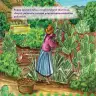 Miniatura página 26 de Llaqtaypa Kawsayninkuna. Saberes de los pueblos - 4° Primaria - Quechua chanka · 2023