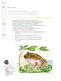 Miniatura página 23 de Nuestros saberes: Libro para alumnos, maestros y familia.   Libro de Educación Primaria Grado 3°  Ciclo Escolar 2025 - 2026