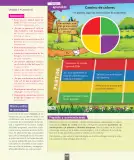 Miniatura página 161 de Ciencias Naturales – Segundo Básico | Texto del Estudiante MINEDUC – Descargar PDF · 2024