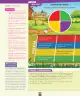 Miniatura página 161 de Ciencias Naturales – Segundo Básico | Texto del Estudiante MINEDUC – Descargar PDF · 2024