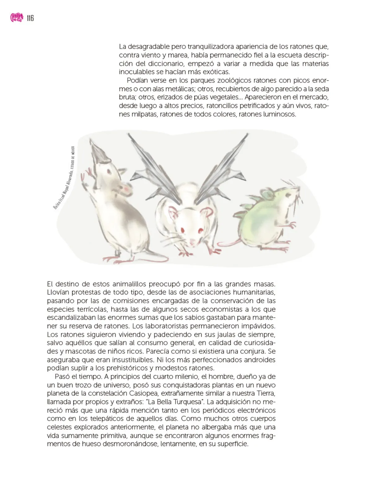 Página 117 de Colección Nanahuatzin. Múltiples lenguajes. Libro de Educación Secundaria Grado 3° Ciclo Escolar 2025 - 2026