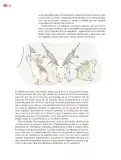 Miniatura página 117 de Colección Nanahuatzin. Múltiples lenguajes.   Libro de Educación Secundaria Grado 3°  Ciclo Escolar 2025 - 2026