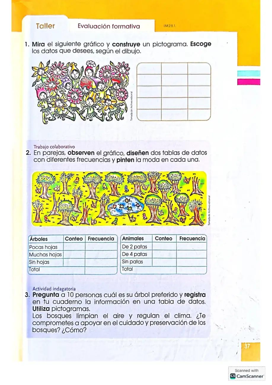 Página 37